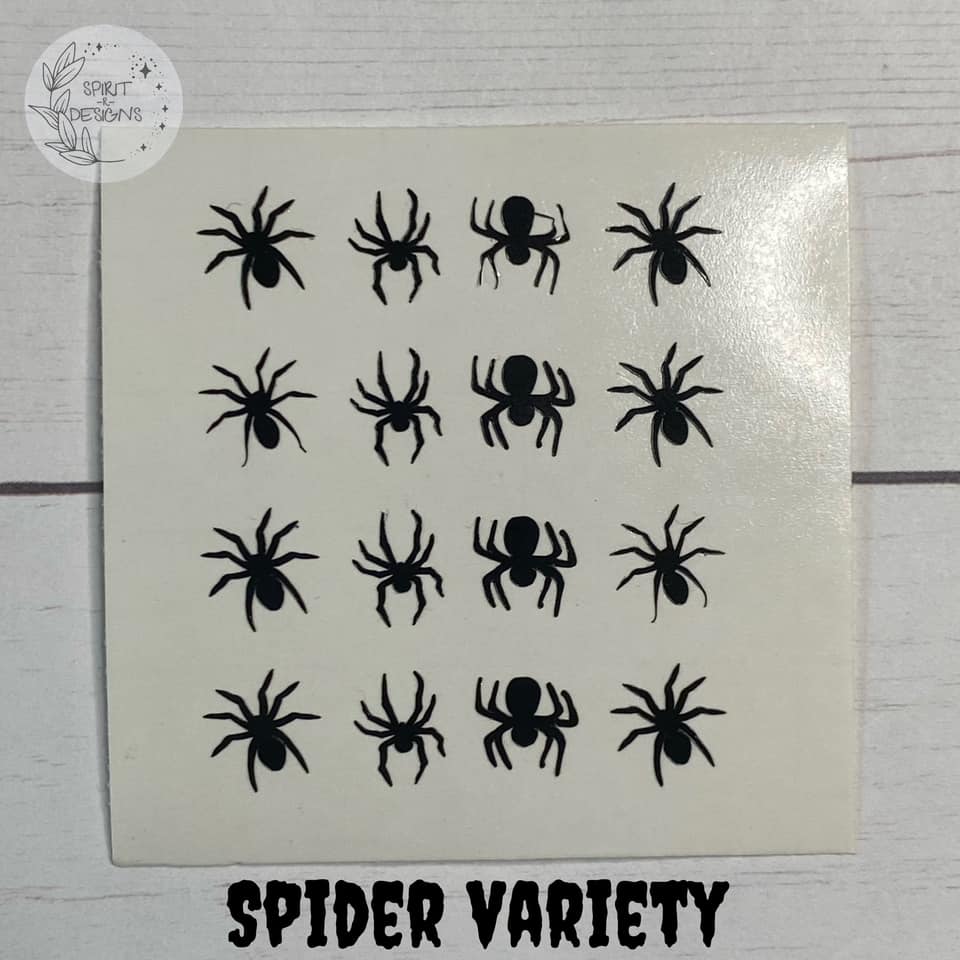 Spider Variety