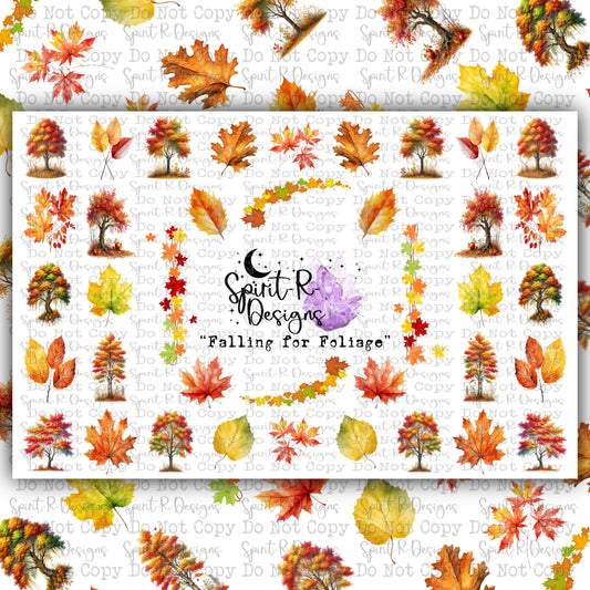 Falling for Foliage