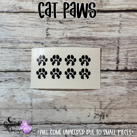 Cat Paws