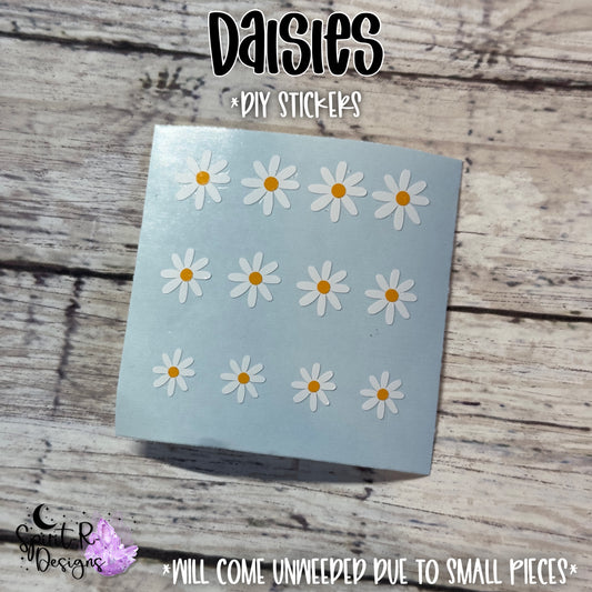 DIY Daisies