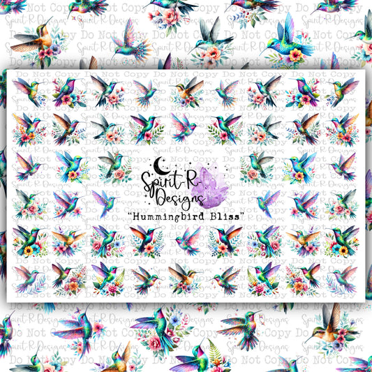 Hummingbird Bliss