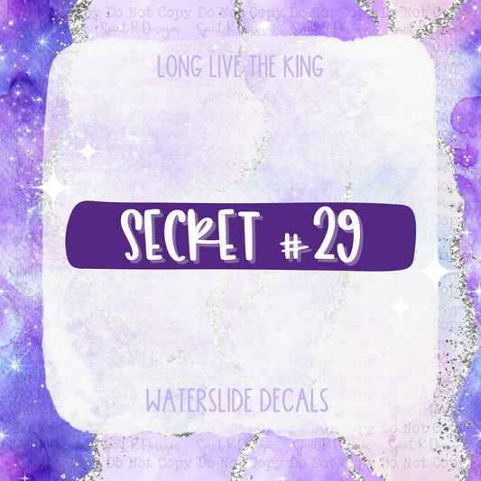 Secret #29